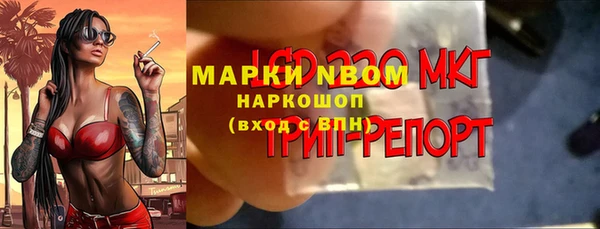 дживик Абинск