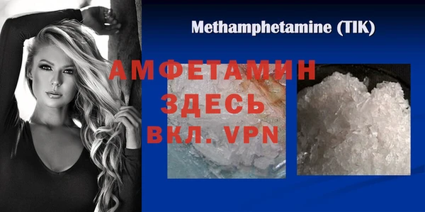 индика Надым