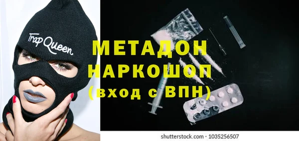 индика Надым