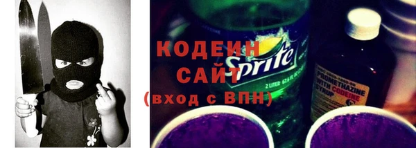 индика Надым