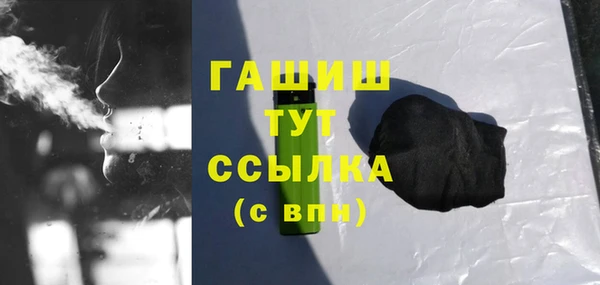 индика Надым