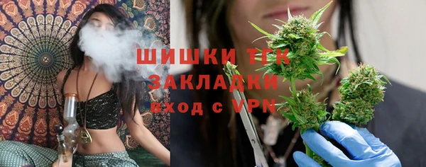индика Надым