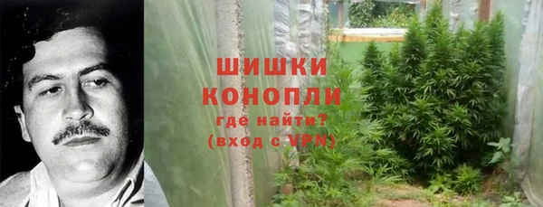 индика Надым