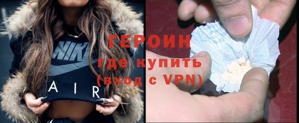 индика Надым