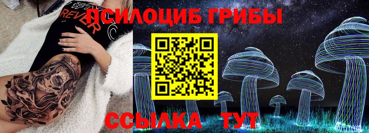 Рассказово  Галлюциногенные грибы MAGIC MUSHROOMS  Вход с VPN 