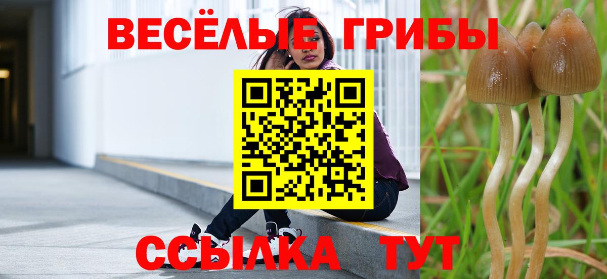 Псилоцибиновые грибы Psilocybine cubensis Рассказово